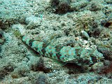 Curacao 04-12 102